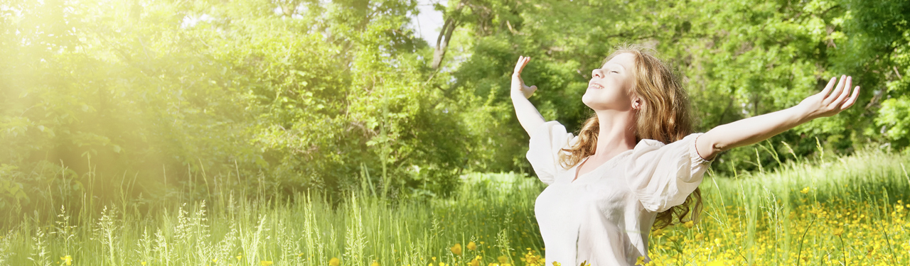 Kopfbild Solaranlagen
