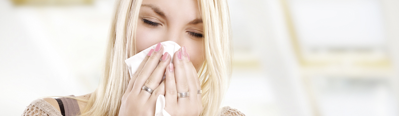 Kopfbild Staubsauger